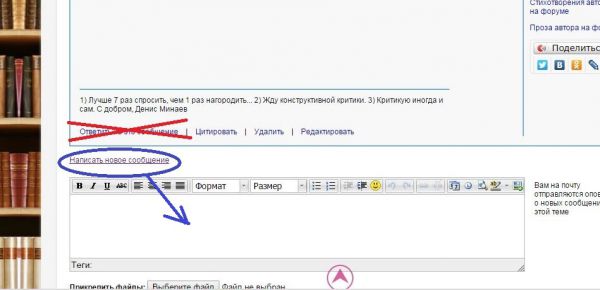 игрушка1